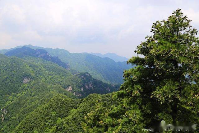 山上美景文案 5c932885326b4e2892c2afef49d45b2c.jpeg