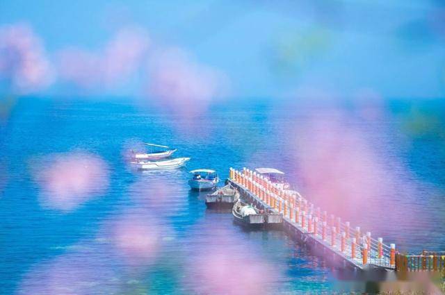 蓝色的梦想 a72e106ce4b9487fb754bc4a218f993f.jpeg