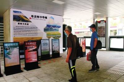 「候车」在BRT站台候车还能顺便“游览”黄河,