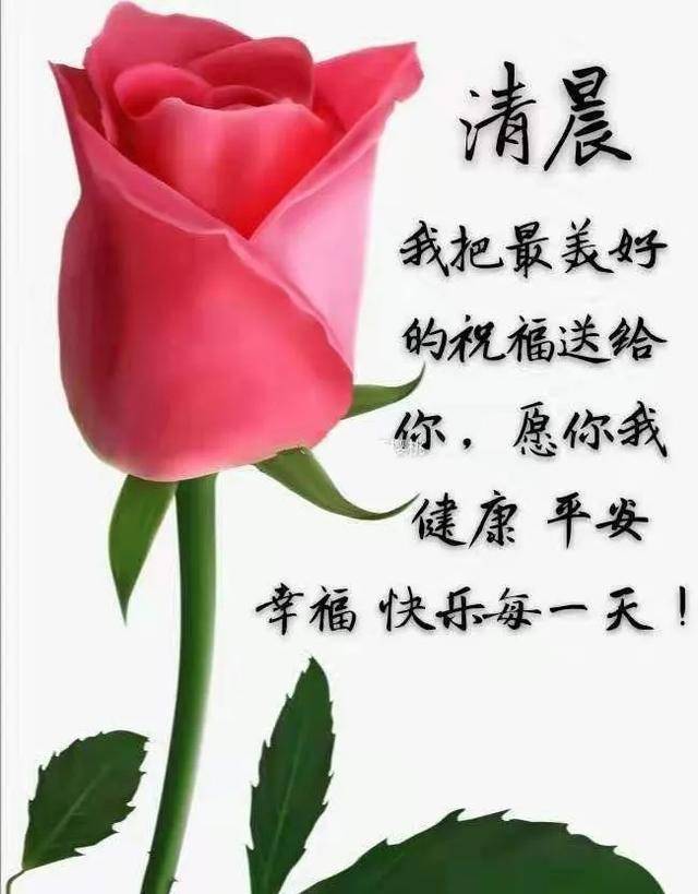 清晨问声好,一切都美好,祝;朋友们,早晨好,幸福,快乐