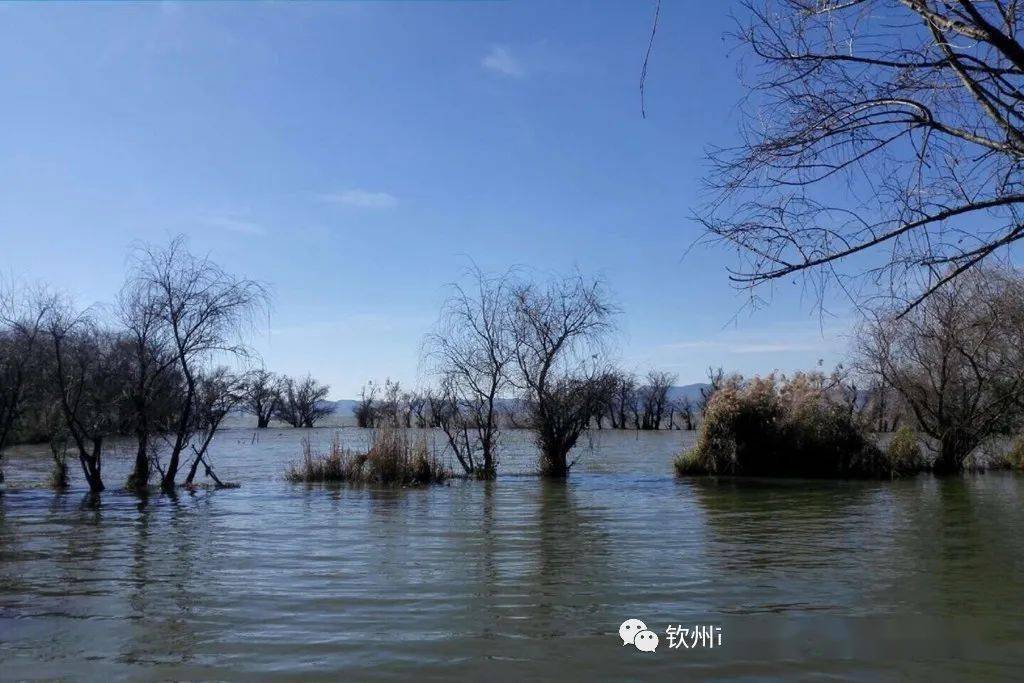 浦北小江水库水平如镜像无边泳池还有万只白鹤翩翩起舞