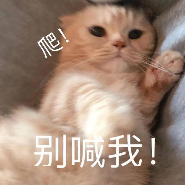 6a8b87760f29494384d70919370ec81b.jpeg