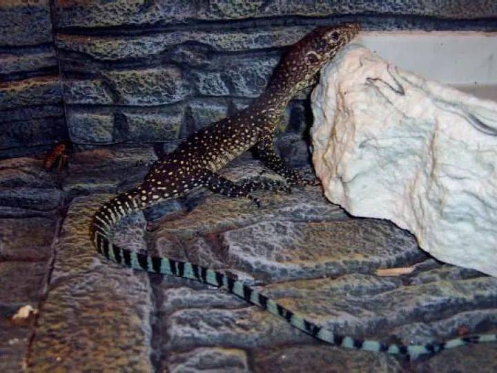 用微信卖这东西，一男子在温州被判9年半！