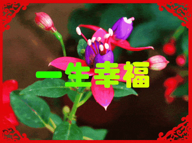 早上好,6月5日问候送到,芒种有点