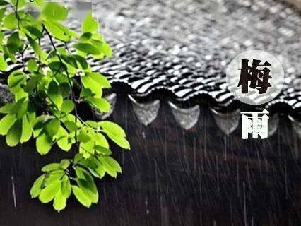 梅那么简单你准备好迎接梅雨季了吗