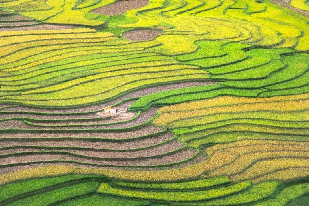 芒种节气 4ec5cfa789314830a6a65b44f7333955.jpeg