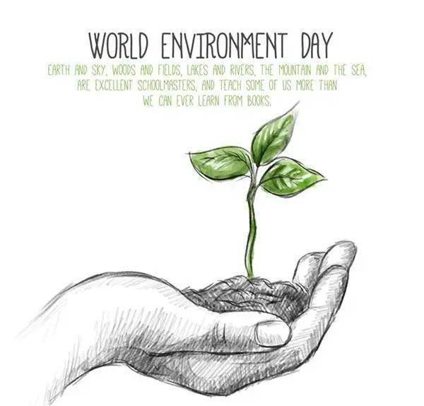 世界环境日-今天你为环保做贡献了吗?