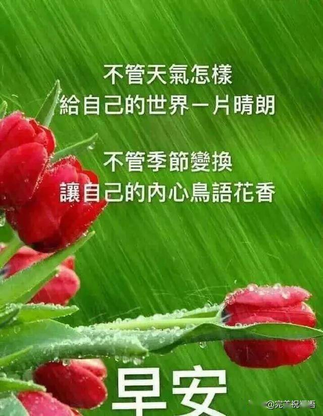 心存美好,则无可恼之事;心存善良,则无可恨之人,早安