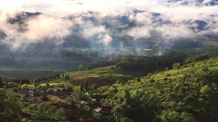 美哉云南景迈茶山高山之巅大水之邦