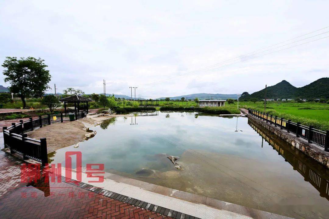 市级媒体高度聚焦螺蛳粉小镇建设之二山湾村金太阳田螺火了记者探寻