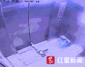 警惕乘坐电梯有盲区事故太惨痛千万要留心