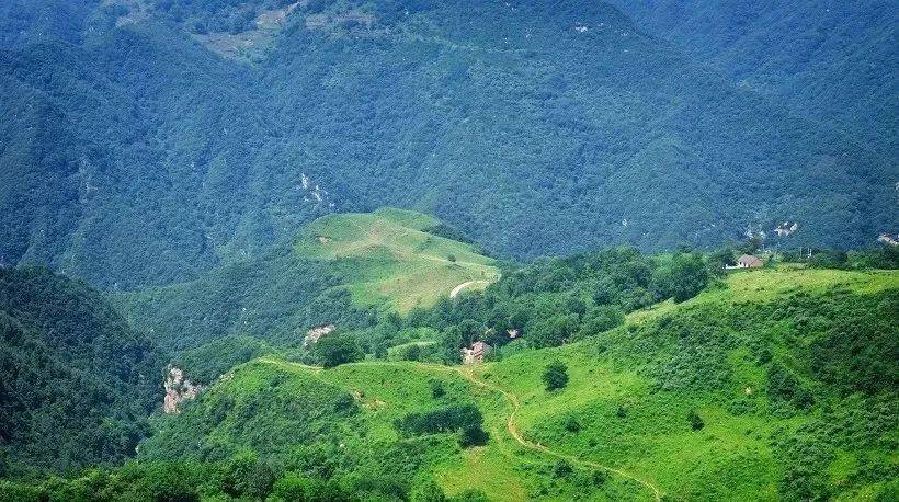 【秦岭十二印象丨流峪高山草甸】6月14日丨慢享高山田园风光,探秘秦岭