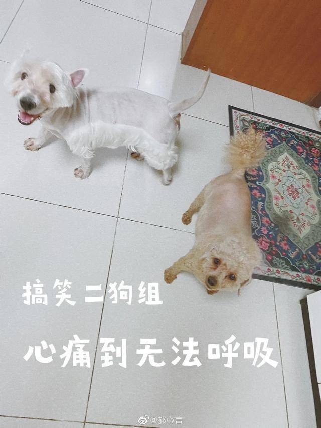 7ff88907a90a4d80bbc30debd7748e15.jpeg