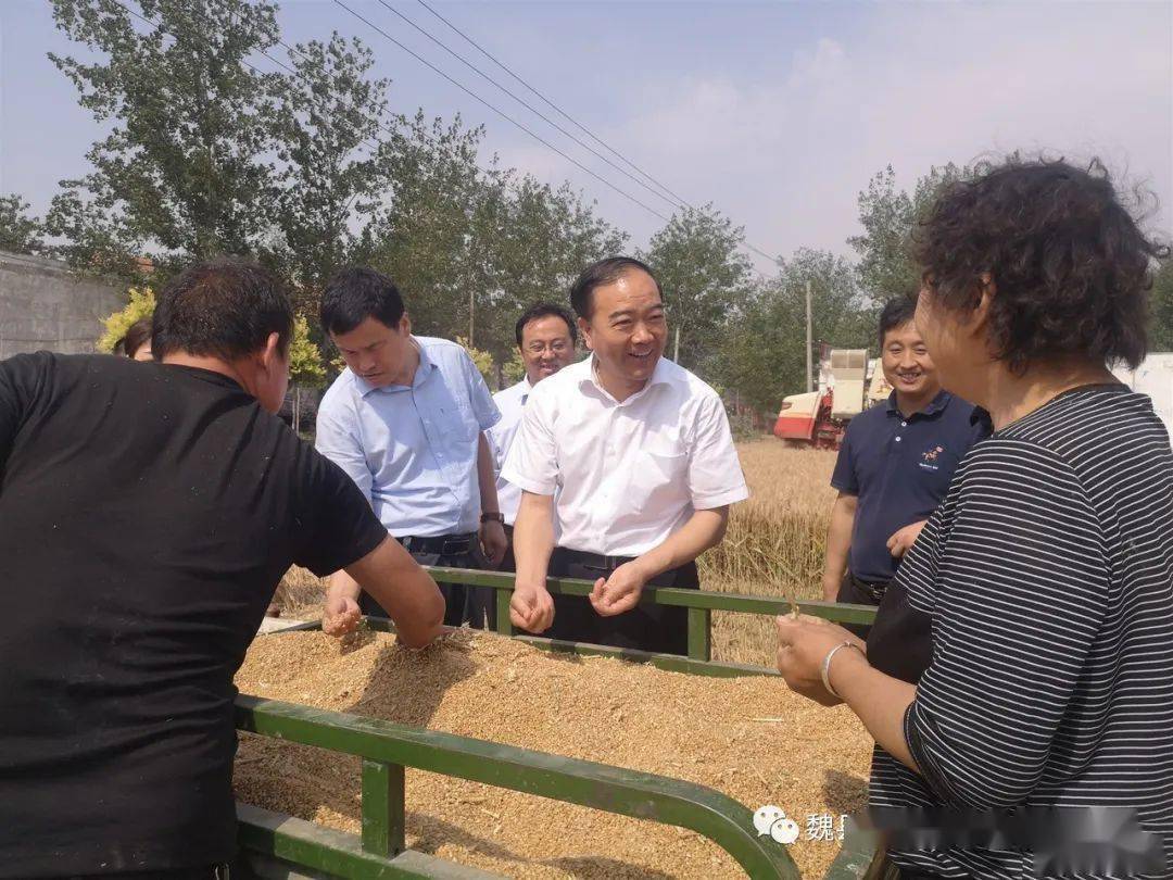 县委书记樊中青一线调研三夏生产及易地扶贫搬迁工作