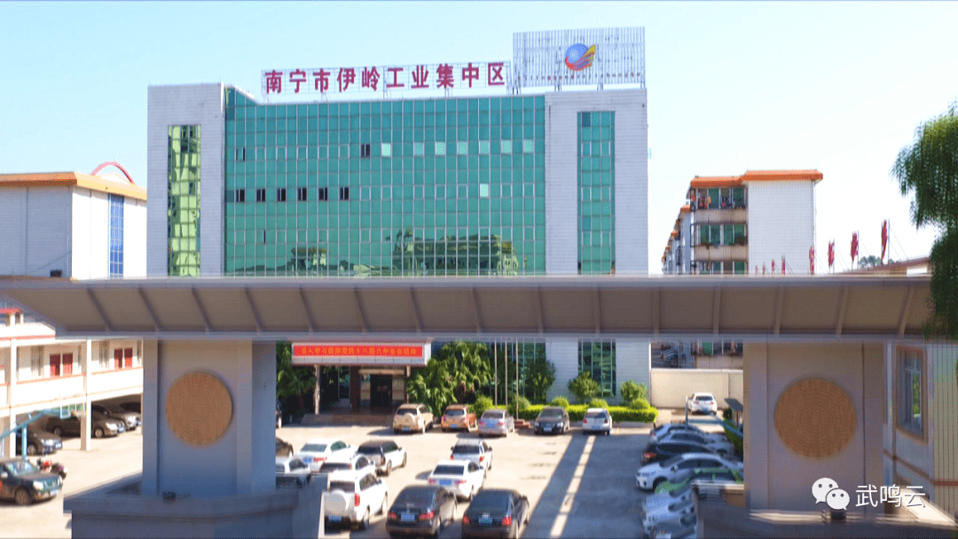 2019南宁武鸣区经济总量_南宁武鸣区图片