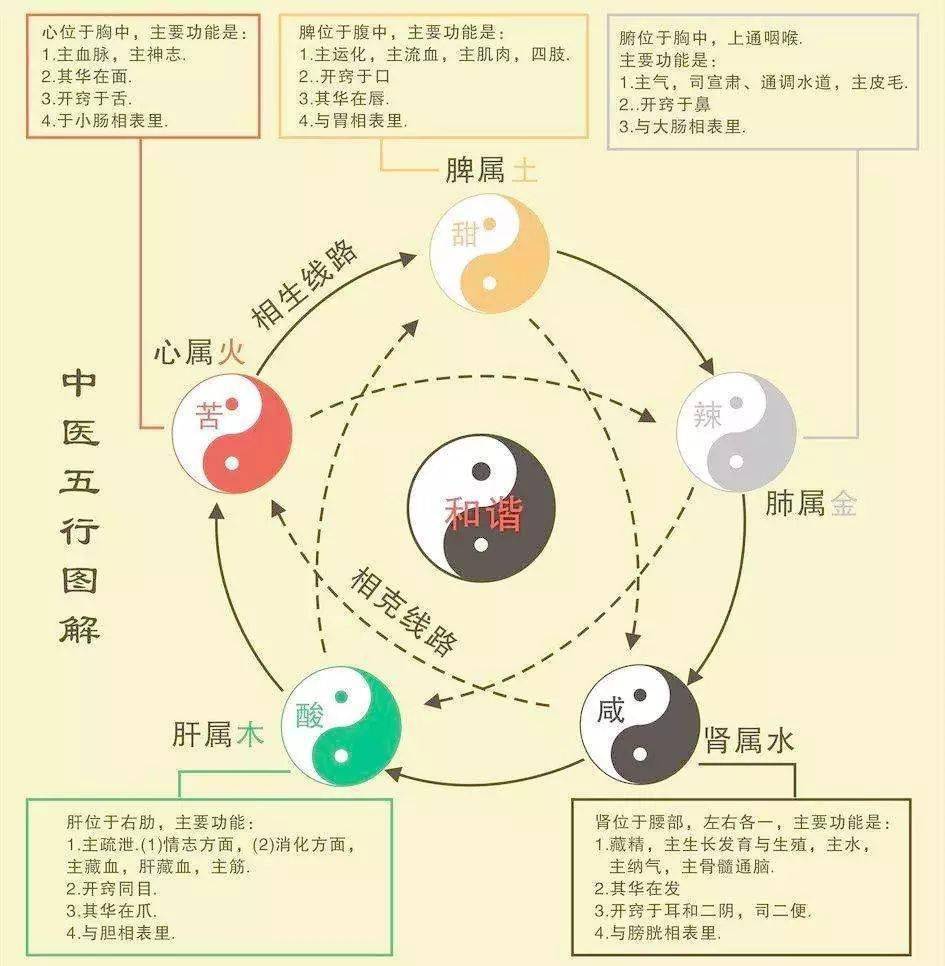 老子讲"道生一,一生二,二生三,三生万物"