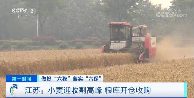 高峰|江苏：小麦迎收割高峰 粮库开仓收购