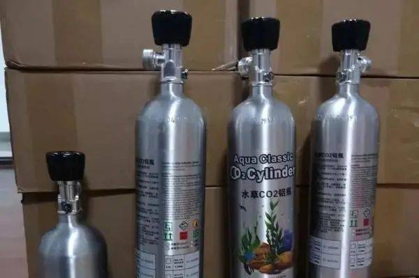 宁海|宁波一男子扬言纵火还打算跳楼，这种“毒品”正向青年群体蔓延……