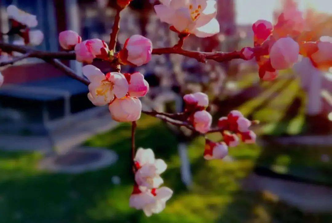 题目|高考倒计时30天丨请查收这份学长学姐的高考复习指南！