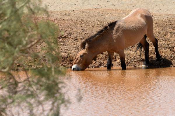 自然保护区|这一幅幅生命的画卷，好美！