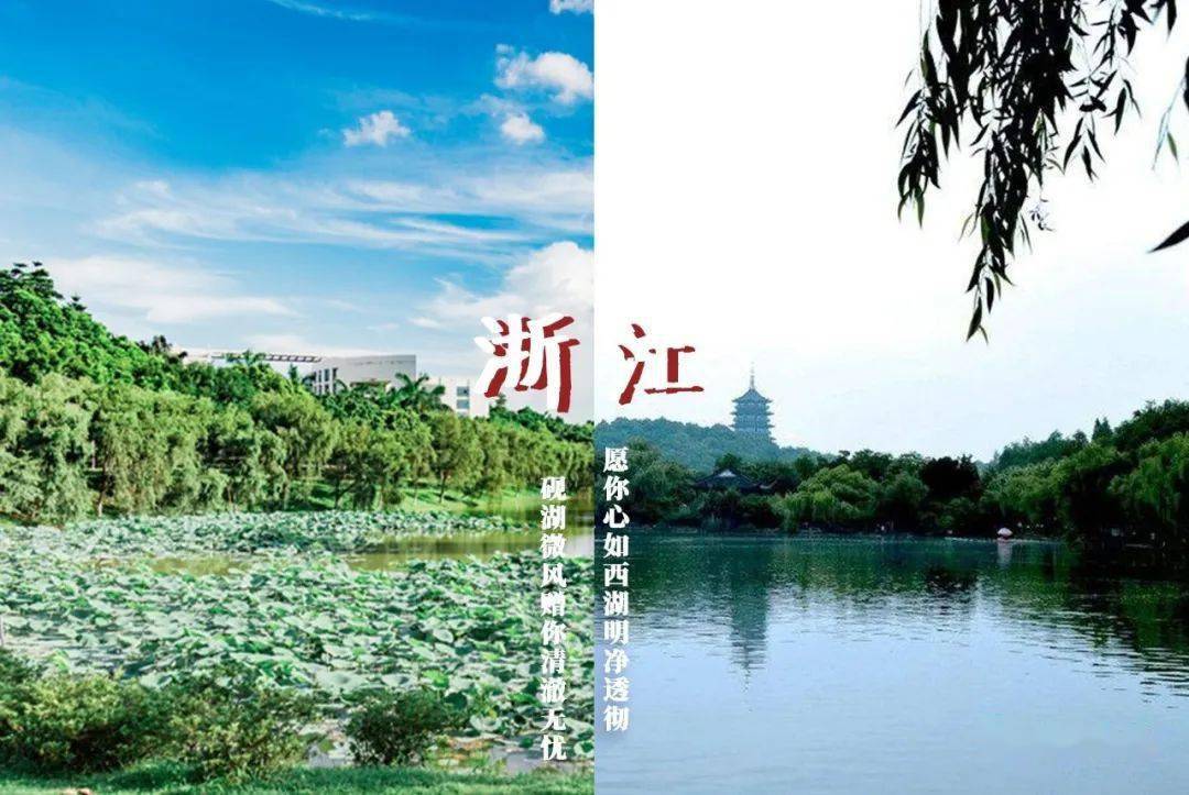 林世泉|梦想不延时华师在等你