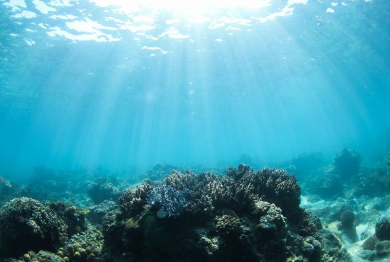 海域|中国首个热带海洋牧场雏形初现，组图揭秘如何在海底放牧养殖