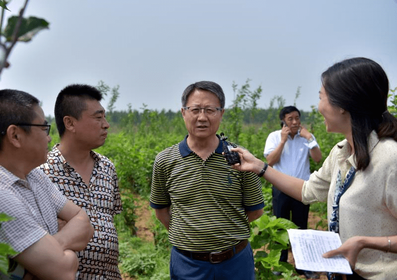 昌邑柳疃第三届桑葚采摘节暨第二届群众文化艺术节盛大开幕