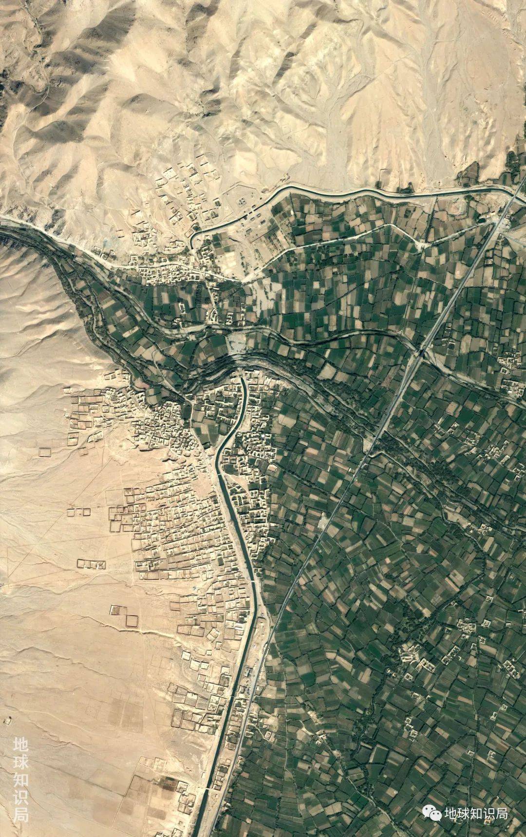 阿富汗gdp_阿富汗猎犬(2)