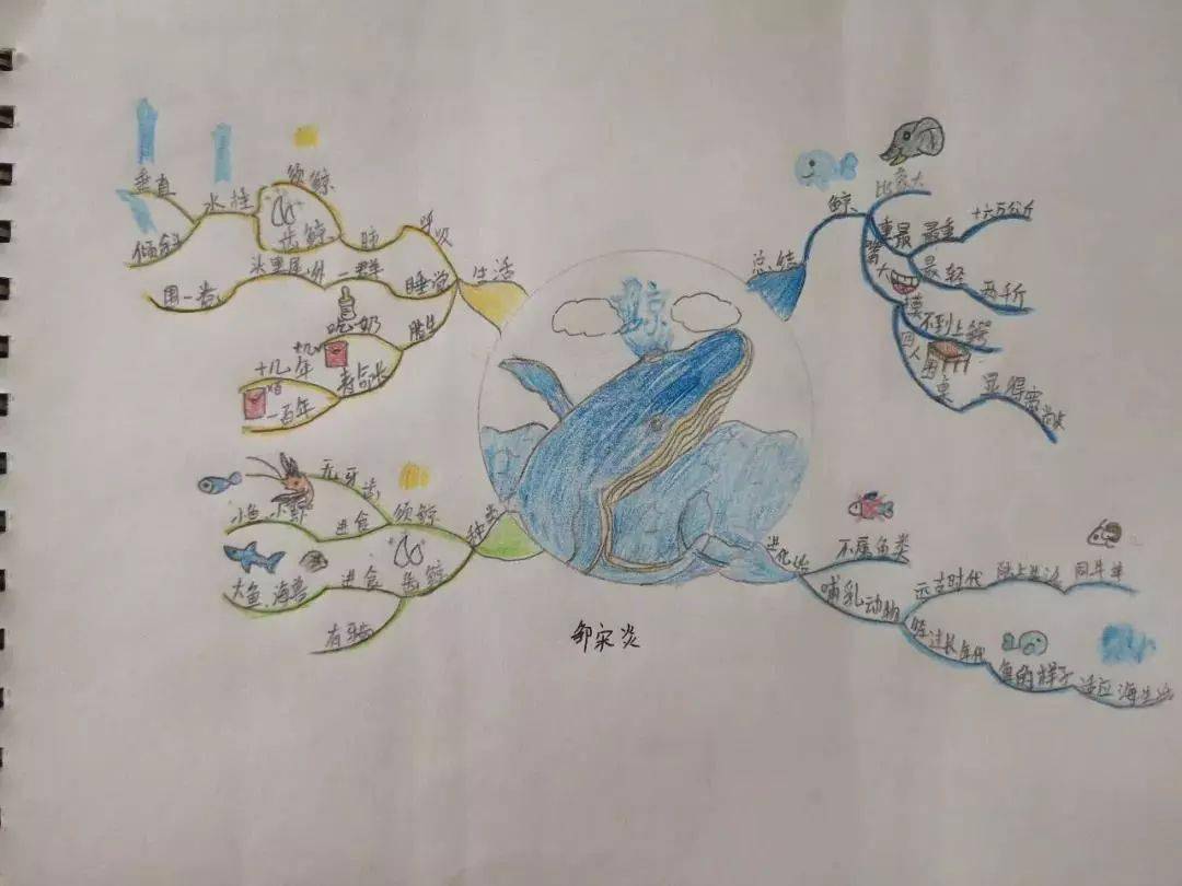 六天,收获一个会思考的孩子!暑假思维导图夏令营开始报名啦!