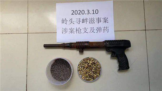 案件抓16人缴改装火药枪两支射钉弹95余发乐东海岸警察破获乐东县沿海