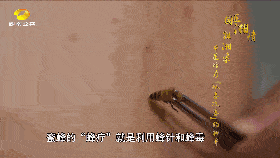 蜂针针刺是自然的高精度超微型生物天然注射器,运用活体注射治疗,实现
