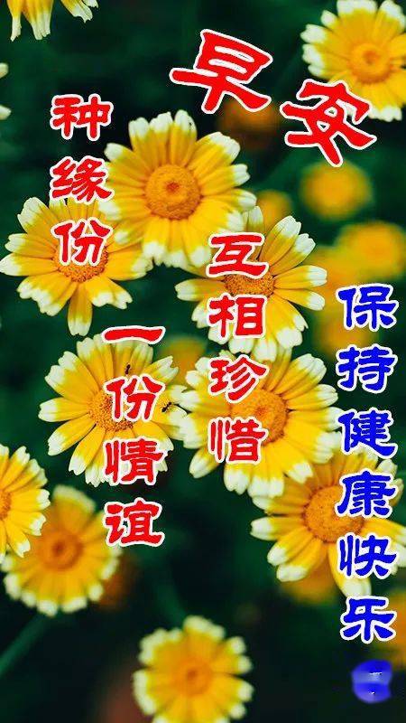 6月10日最漂亮早上好动态表情图片大全,早晨好动图美图大全