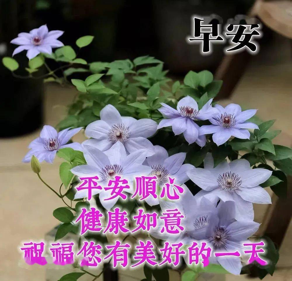 6月10日周三群发早上好问候祝福动态表情图片 6月最美