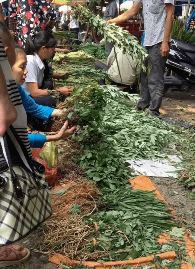 活动:传统瑶药集市交易地点:平安康养特色小镇瑶族文化村时间:6月22日