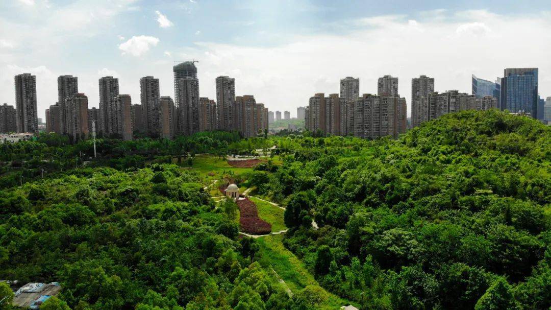 观山湖区全省经济总量排名_贵阳观山湖区图片(2)