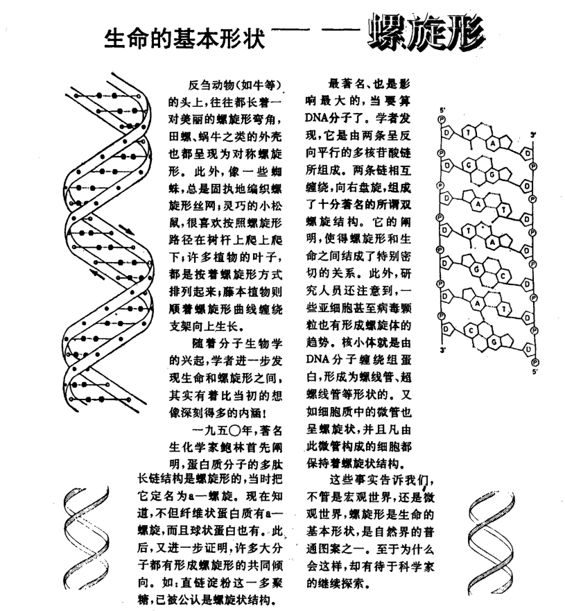 藤蔓简谱_藤蔓简笔画(3)