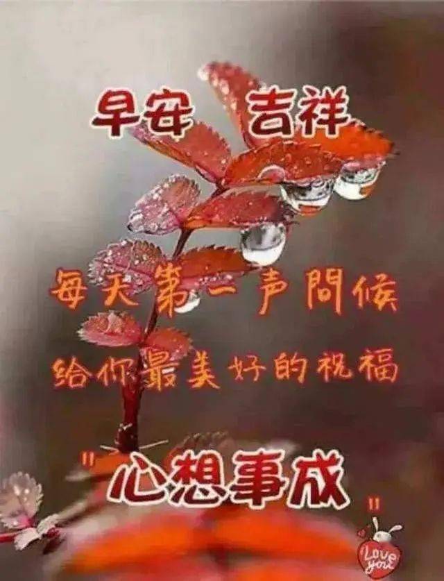 最新早上问候朋友的暖心祝福语 很美的早上好图片表情