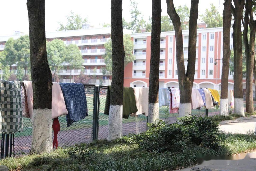 暖心!川传老校区6166间学生宿舍完成卫生大清扫
