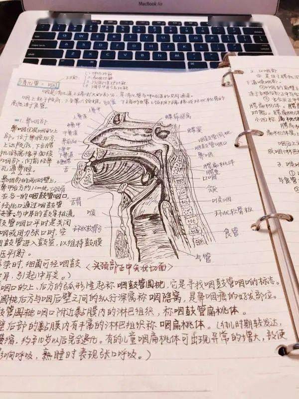 考试来袭医学生的复习大餐