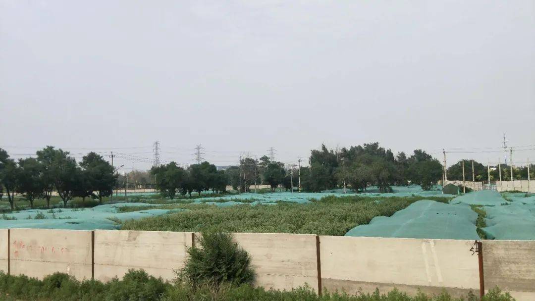 楼面单价7.6万,总价180亿,房企为何豪赌北京地王