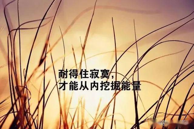 e01ae11f72ac4d2bab6c0ebb959726d9.jpeg