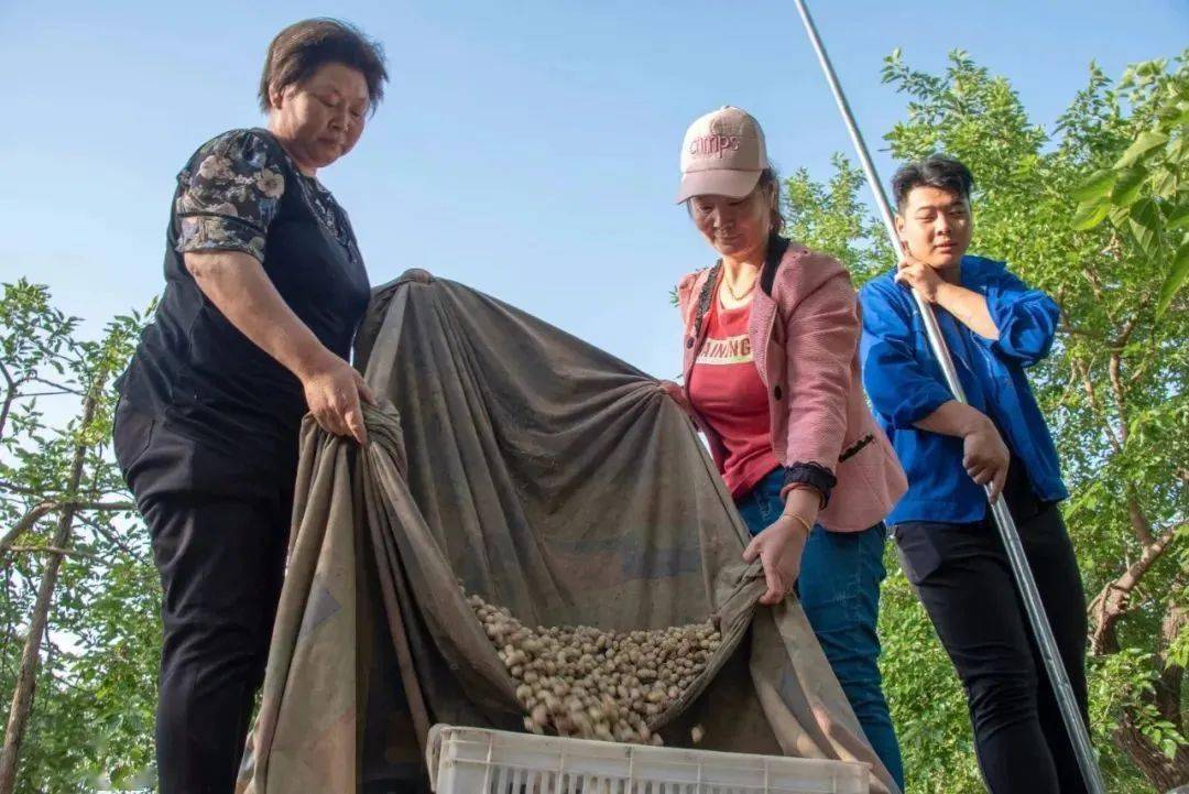 "走近世界遗产地 发现多彩夏津美"摄影名家邀请赛在夏津县举行