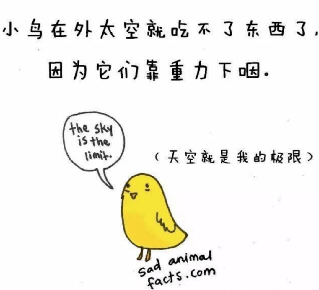 啥时候才能控制好情绪 4b57f2e07aca4923ba9e91db40025e0a.png