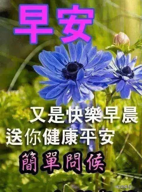 早上好,清晨的第一个祝福,愿你拥有快乐和幸福.早安