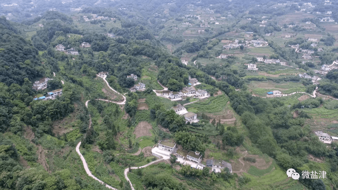 保宁村巧打绿色经济牌鼓起群众钱口袋