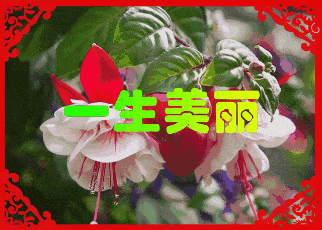 早上好,周末快乐!最美的祝福,致我最在乎的人!