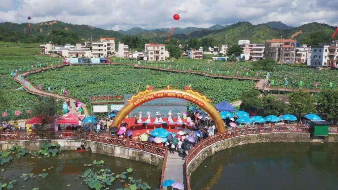 【陆河第四届乡村荷花节开幕】内洞 圳口500余亩荷花启动"赏荷"模式