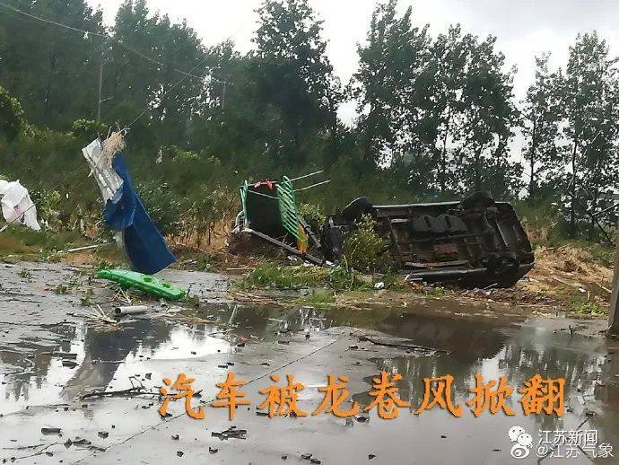 大树|扬州高邮地区遭遇龙卷风，大树被连根拔起！未来几天天气依然一言难尽