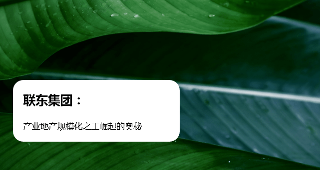 联东集团：产业地产规模化之王崛起的奥秘（下）产城白皮书34