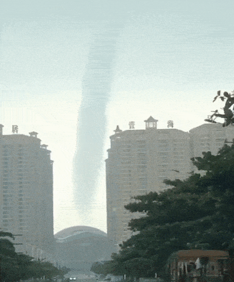 481_580gif 动态图 动图